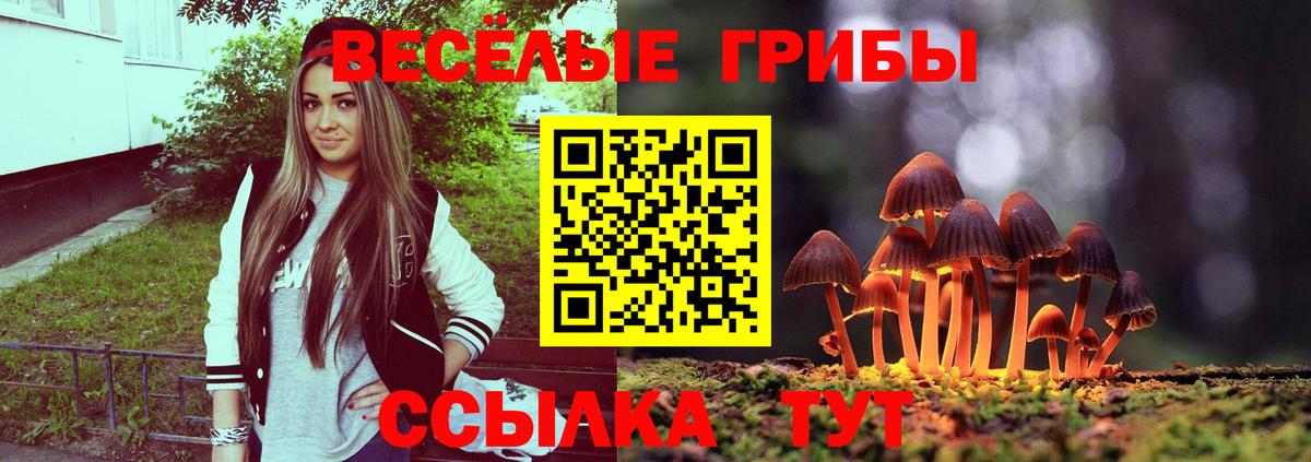 Псилоцибиновые грибы GOLDEN TEACHER  Вход с VPN  Электрогорск 