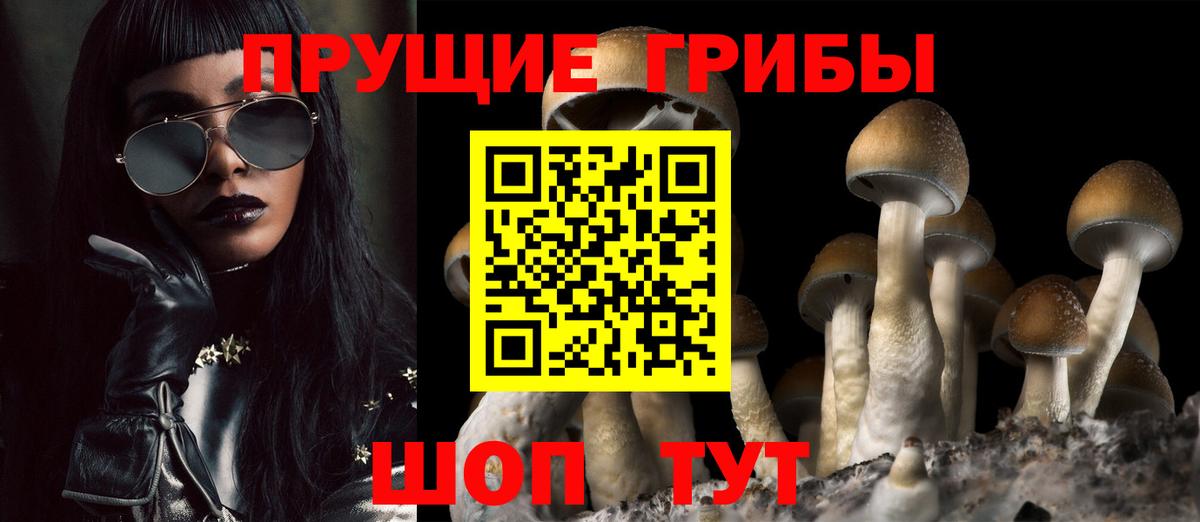 Псилоцибиновые грибы MAGIC MUSHROOMS Электрогорск
