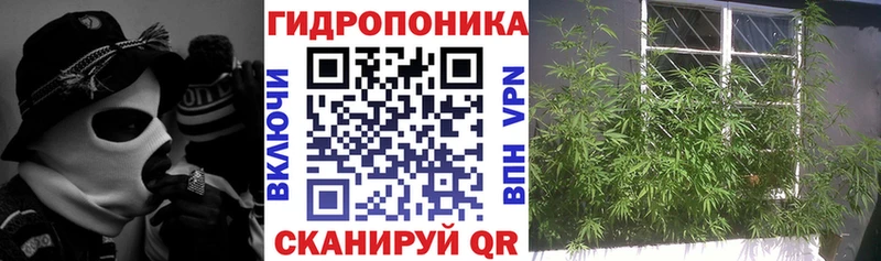 Бошки марихуана конопля  купить закладку  hydra как войти  Электрогорск 